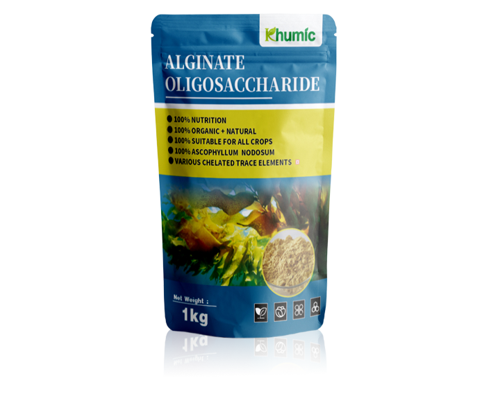 Seaweed Oligosaccharide