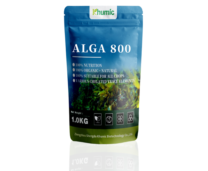 Alga 800 Seaweed Extract