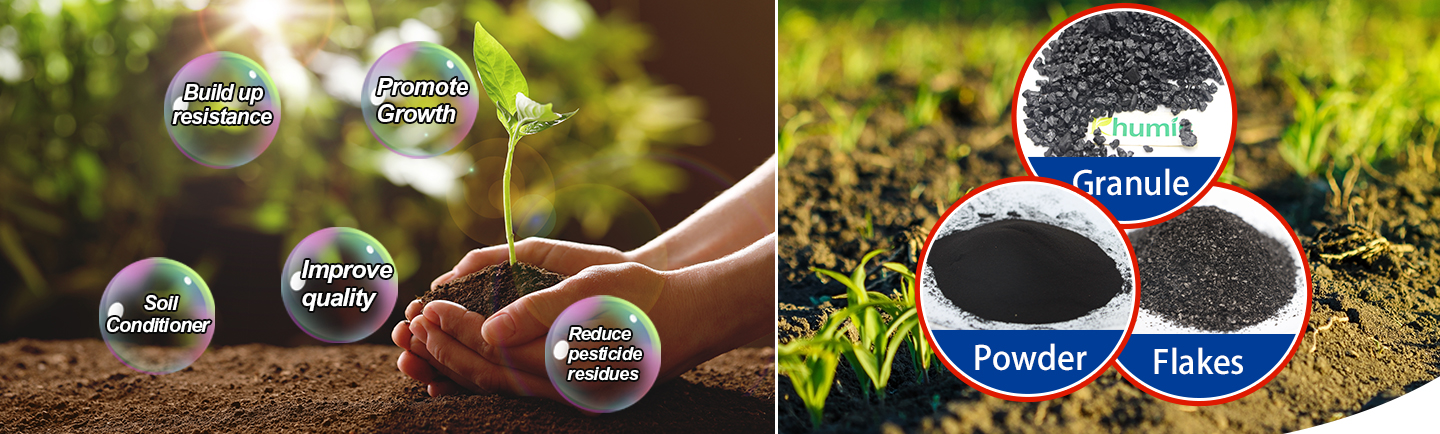 humic-acid-1