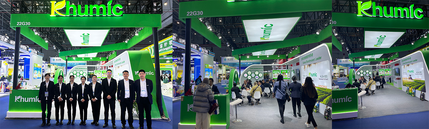 shanghai CAC exhibition