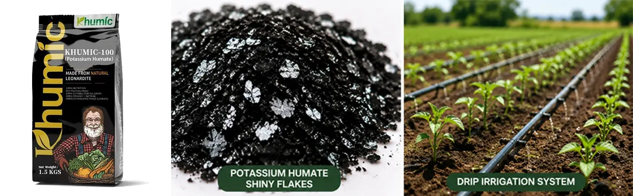 KHUMIC Potassium Humate shiny flakes and its application in modern agricultural drip irrigation systems.